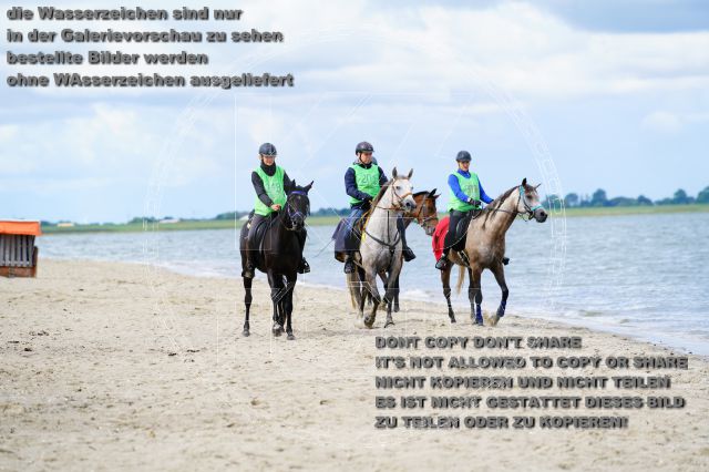 s_K3F05116.JPG